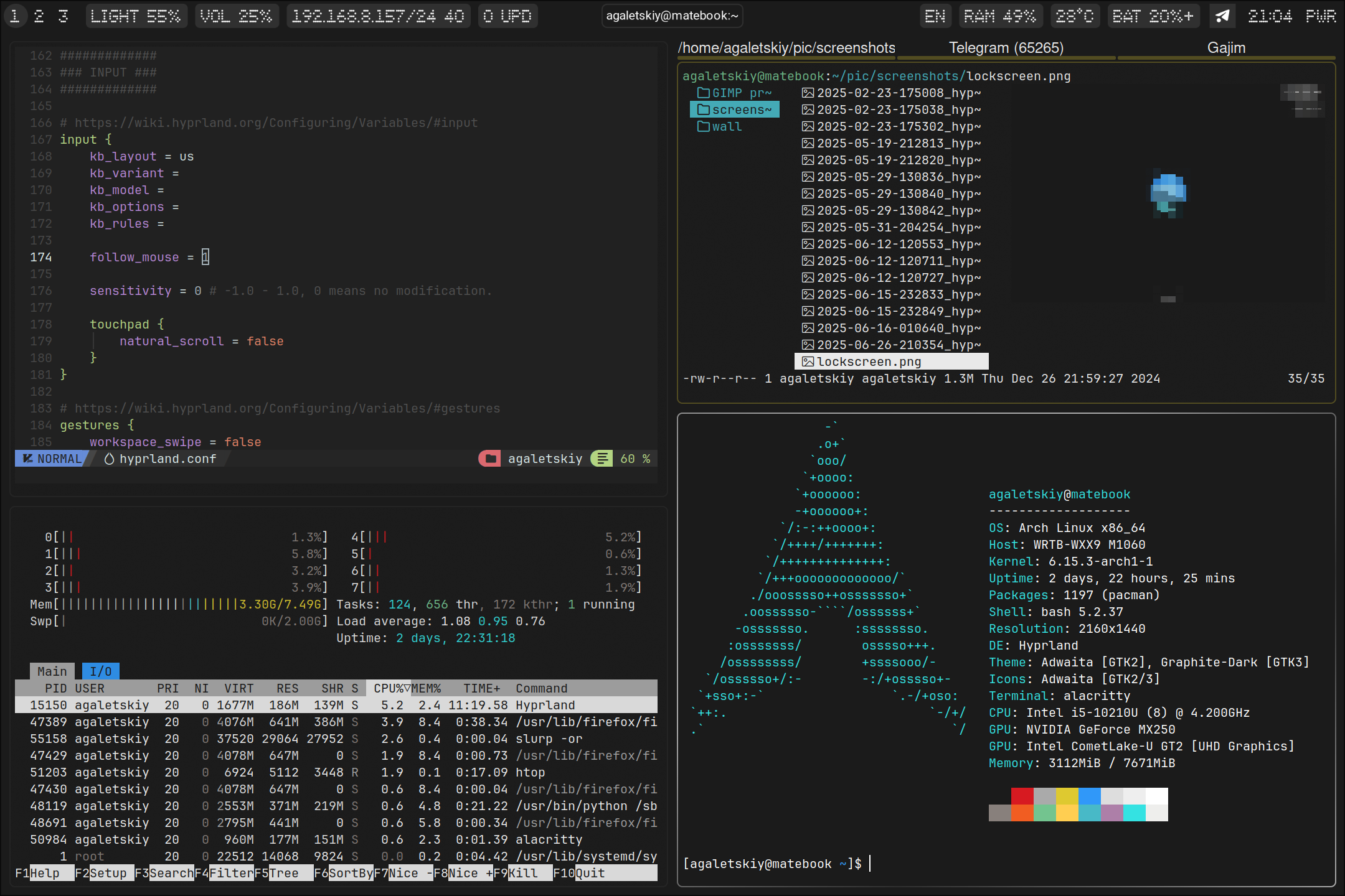 workflow: waybar, nvim, htop, lf, alacritty